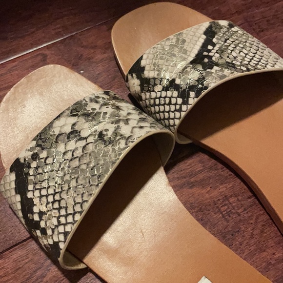 Steve Madden Snake Sandals - Picture 2 of 6
